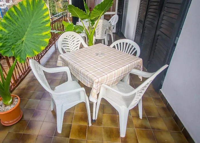 Complex Nevia Πανσιόν