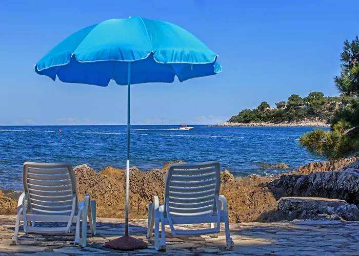 Complex Nevia Πανσιόν 3*