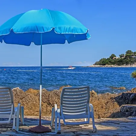 Complex Nevia Πανσιόν 3*