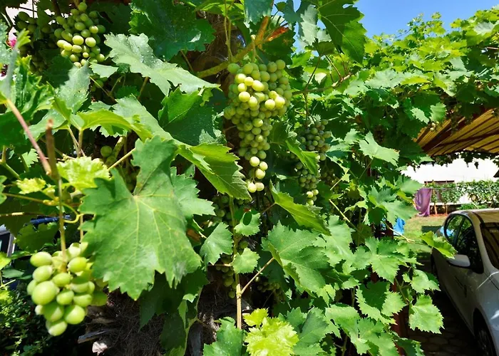 Casa de hóspedes Complex Nevia Poreč